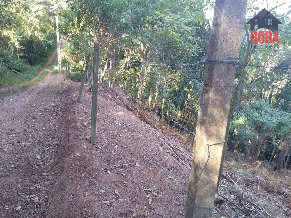 Terreno, 5000 m² - Foto 6