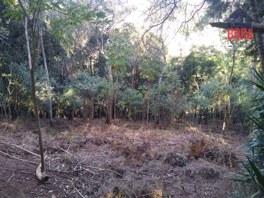 Terreno, 5000 m² - Foto 1
