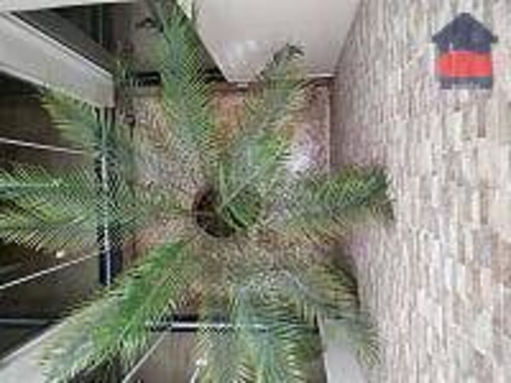 Casa, 4 quartos, 440 m² - Foto 3