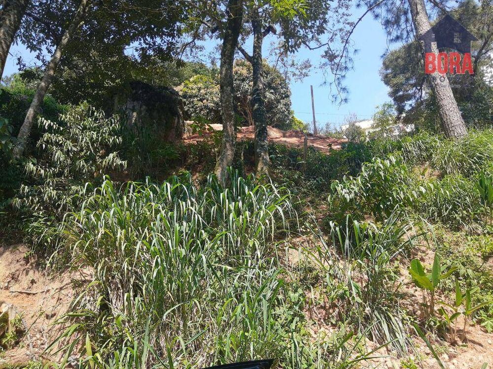 Terreno, 1050 m² - Foto 3