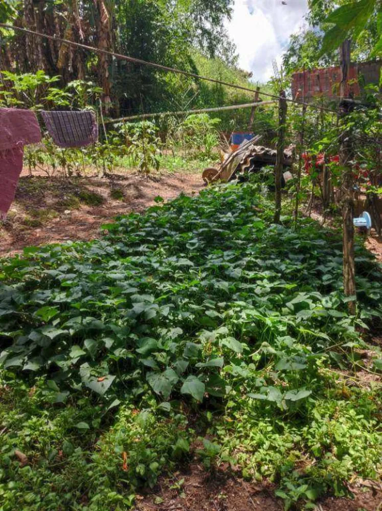 Terreno, 1175 m² - Foto 8