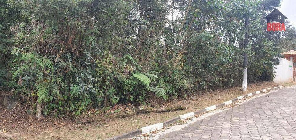 Terreno, 1000 m² - Foto 1