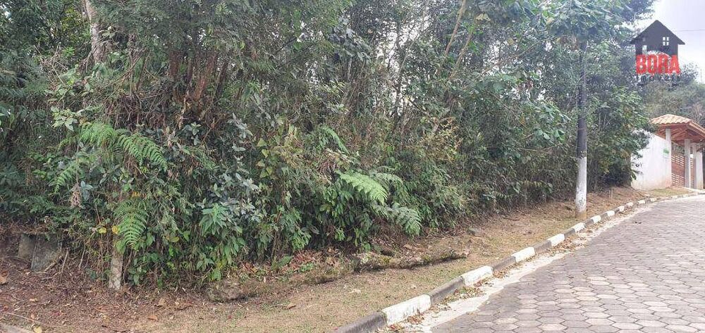 Terreno, 1000 m² - Foto 4
