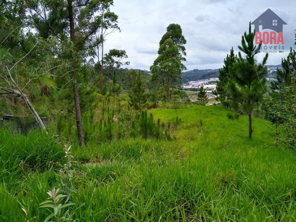 Terreno à venda, 800M2 - Foto 1