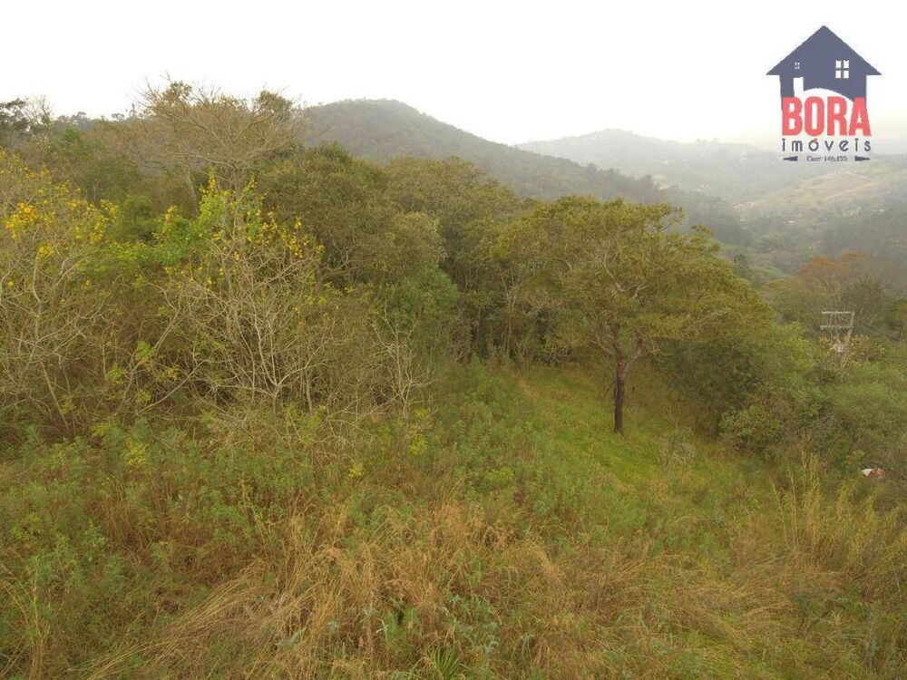 Terreno, 3011 m² - Foto 4