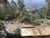 Terreno, 1500 m² - Foto 8