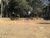 Terreno, 1500 m² - Foto 2