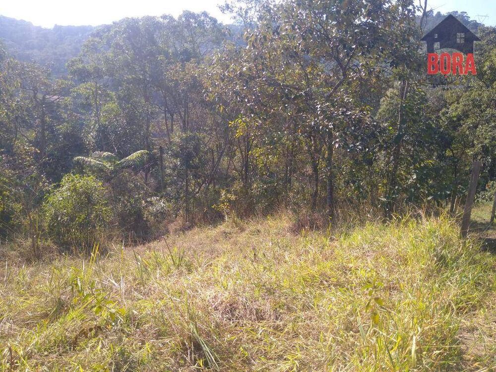 Terreno, 2110 m² - Foto 4