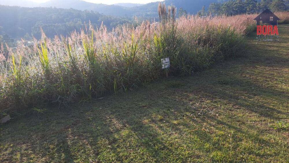 Terreno, 1146 m² - Foto 2