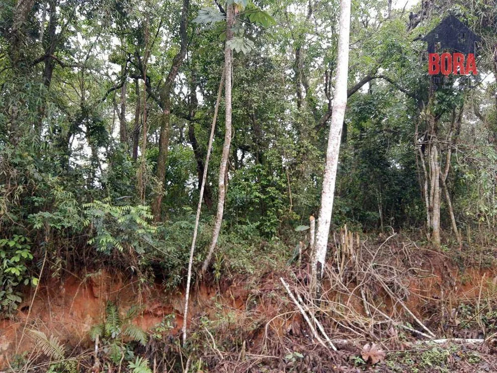 Loteamento e Condomínio, 1250 m² - Foto 5