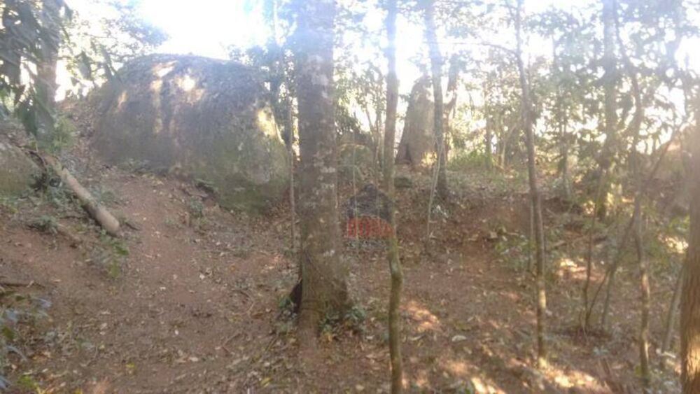 Terreno, 1380 m² - Foto 4