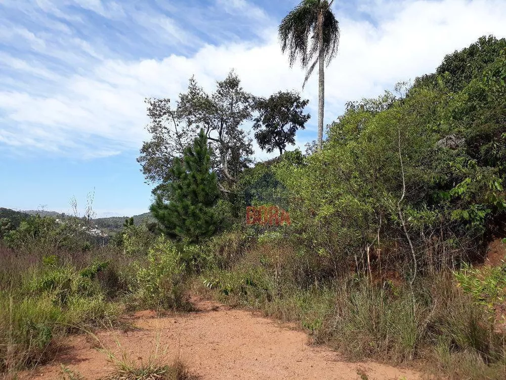 Terreno à venda, 61000M2 - Foto 3