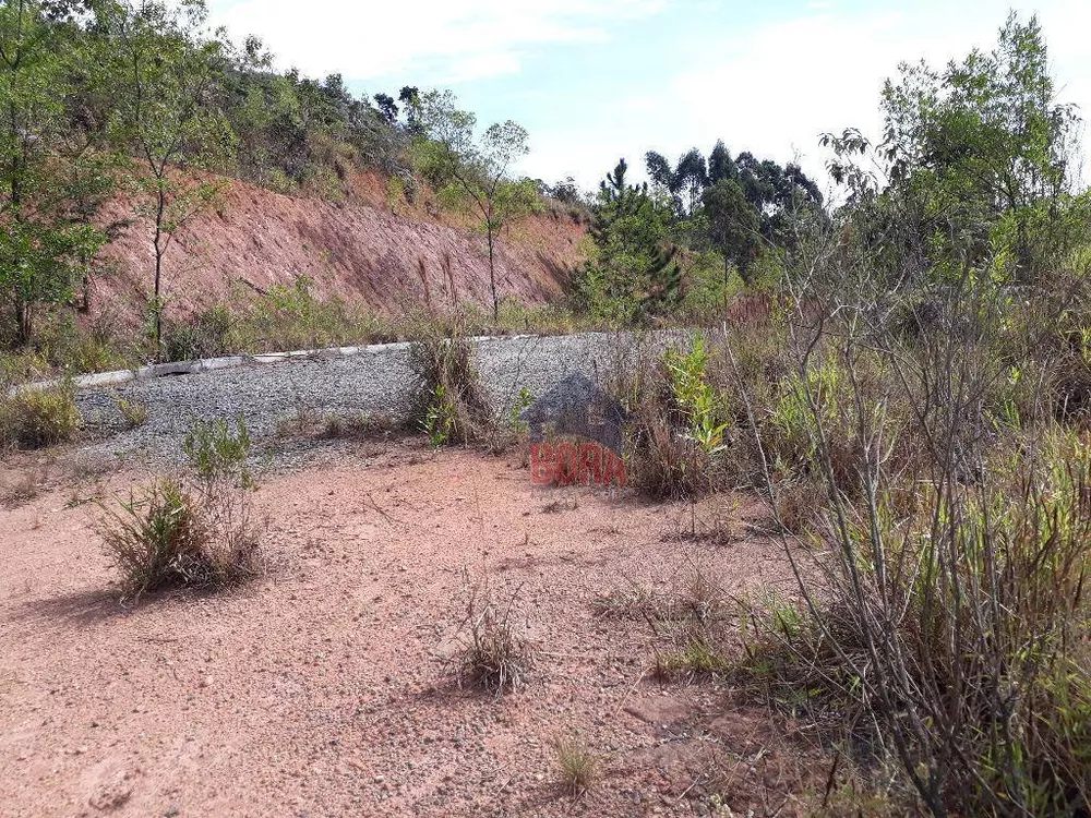 Terreno à venda, 61000M2 - Foto 2