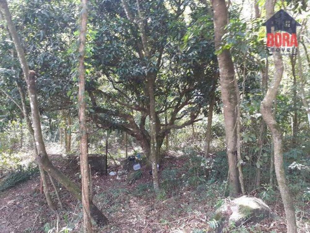 Terreno, 1000 m² - Foto 3