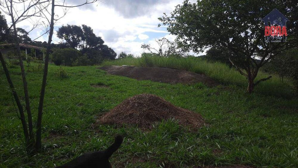 Terreno, 1000 m² - Foto 5