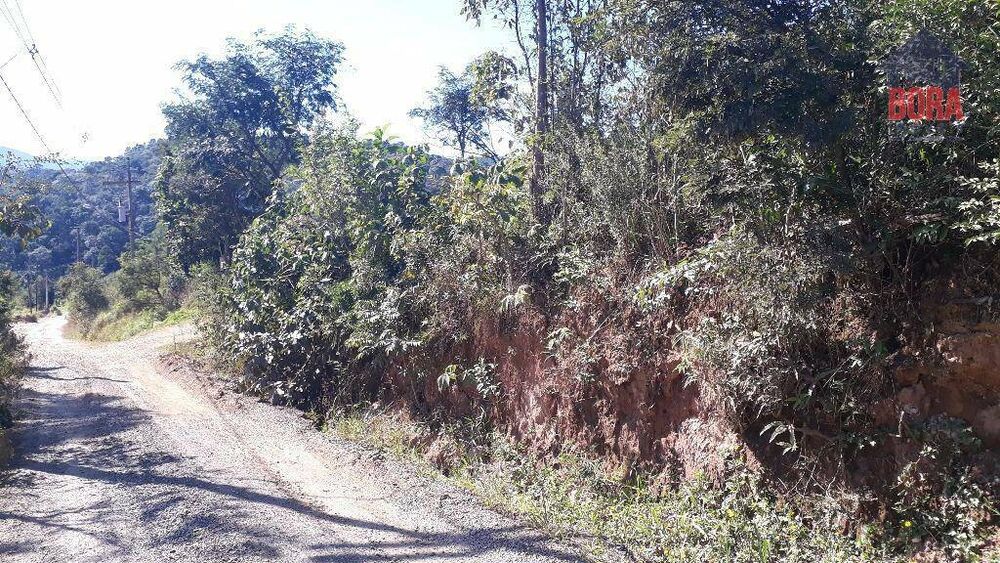 Terreno, 536 m² - Foto 3