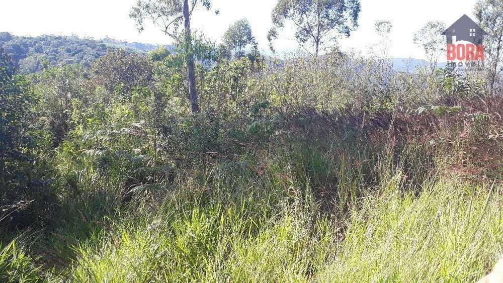 Terreno, 536 m² - Foto 1