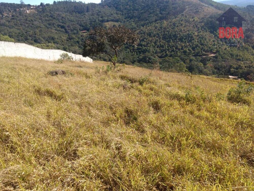 Terreno, 2000 m² - Foto 4