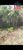 Terreno, 1000 m² - Foto 2