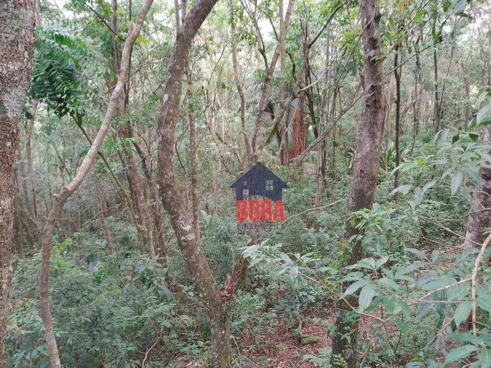 Terreno, 2 m² - Foto 2