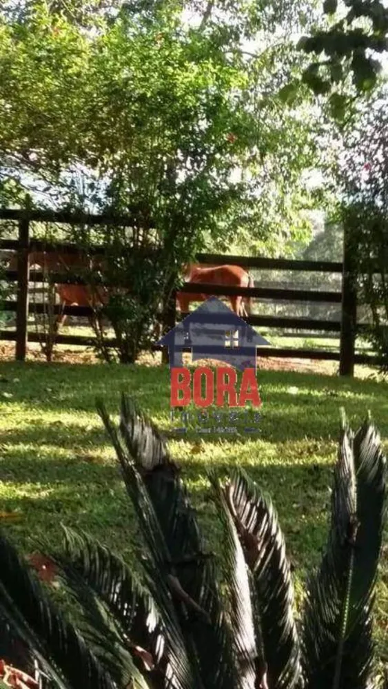 Chácara, 3 quartos, 2 hectares - Foto 3