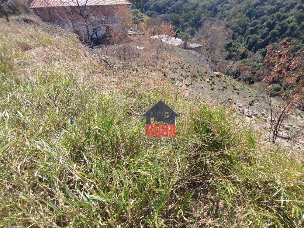Terreno, 5000 m² - Foto 2