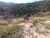 Terreno, 5000 m² - Foto 4