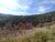 Terreno, 5000 m² - Foto 3