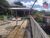 Chácara, 3 quartos, 600 m² - Foto 2