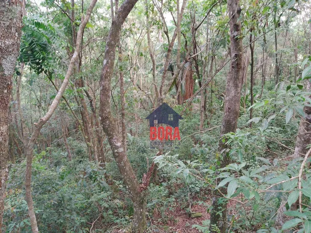 Terreno, 2 m² - Foto 2