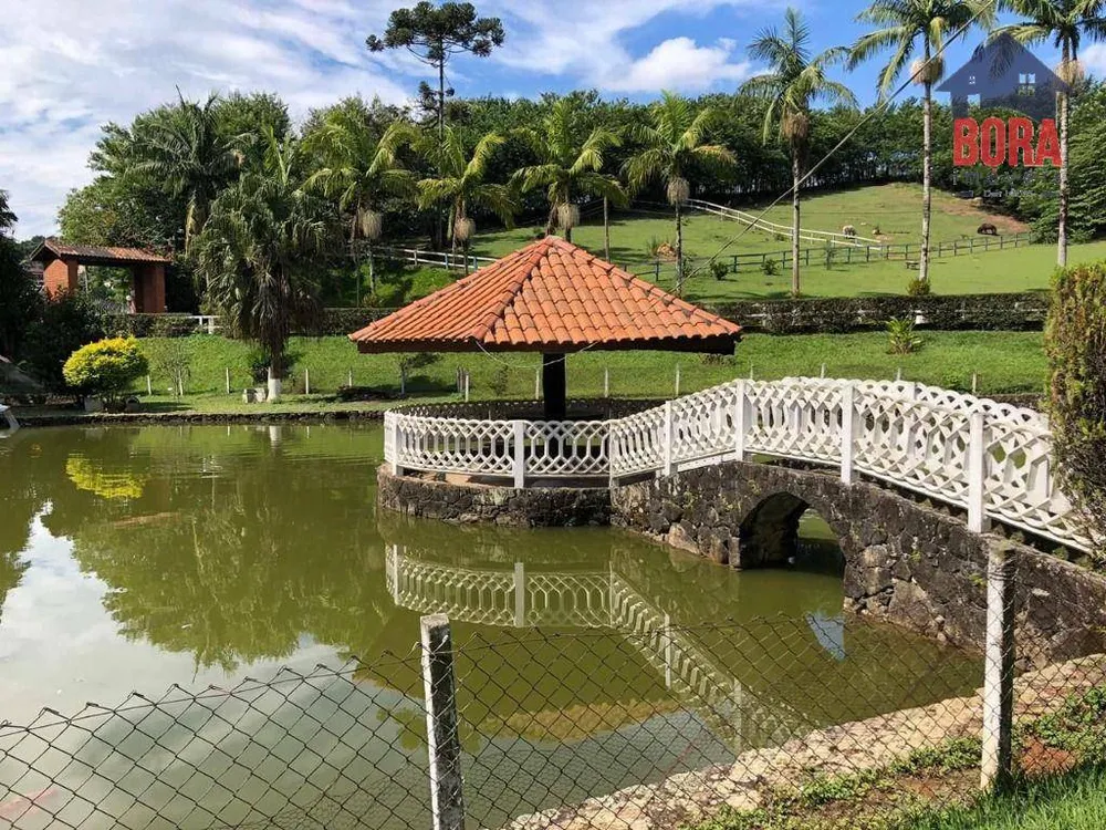 Sítio, 5 quartos, 3 hectares - Foto 9