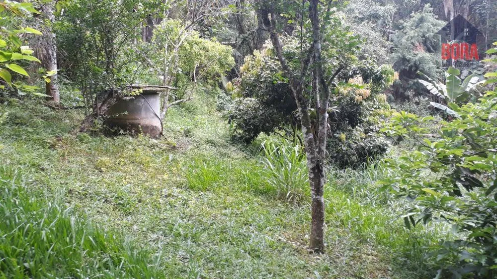 Terreno, 6000 m² - Foto 5