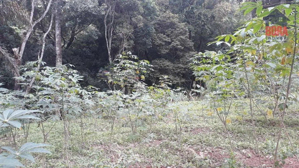 Terreno, 6000 m² - Foto 8