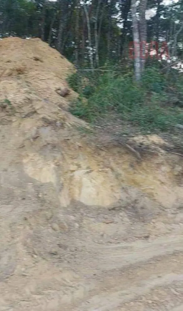Terreno, 2000 m² - Foto 2