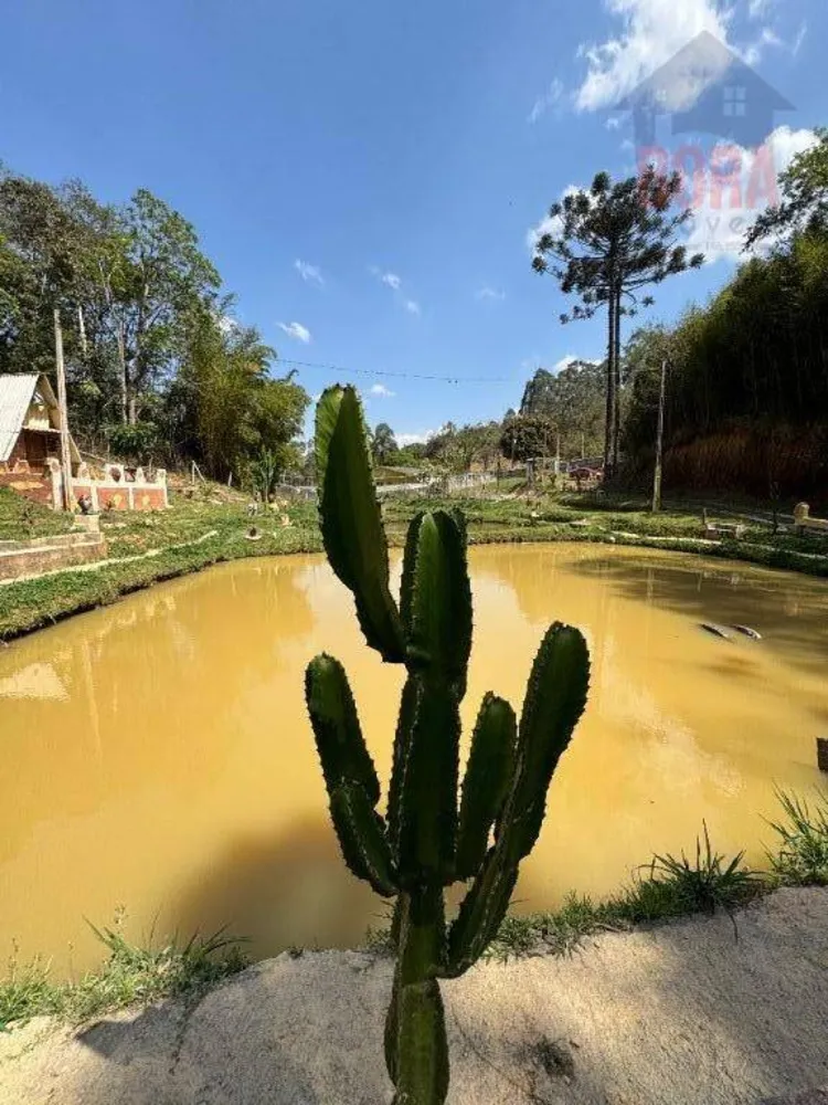 Chácara, 1 quarto, 6000 m² - Foto 6
