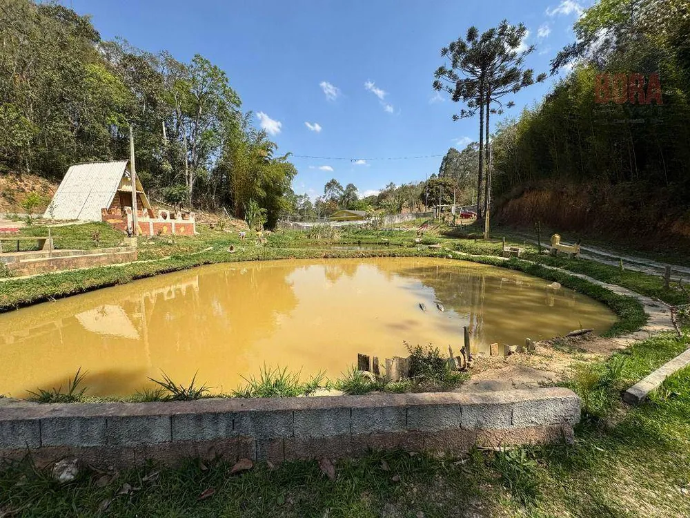 Chácara, 1 quarto, 6000 m² - Foto 1