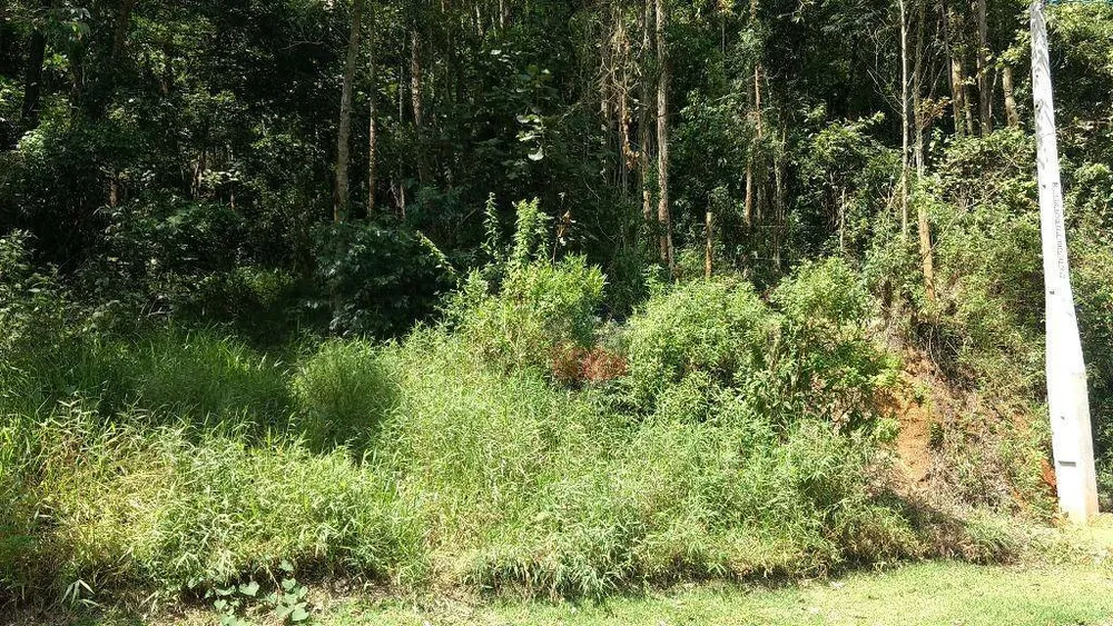 Loteamento e Condomínio, 1250 m² - Foto 6