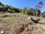 Terreno, 6000 m² - Foto 2
