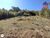Terreno, 6000 m² - Foto 1