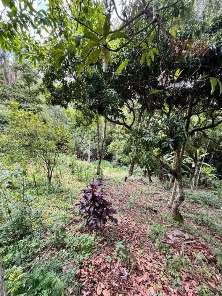 Chácara, 3 quartos, 1 hectares - Foto 4