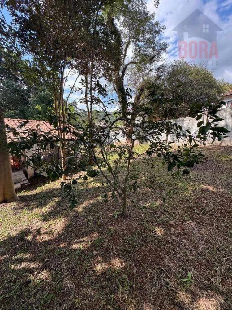 Chácara, 2 quartos, 4200 m² - Foto 7