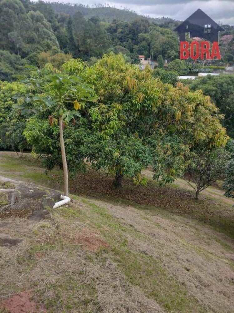Sítio à venda com 3 quartos, 200m² - Foto 3