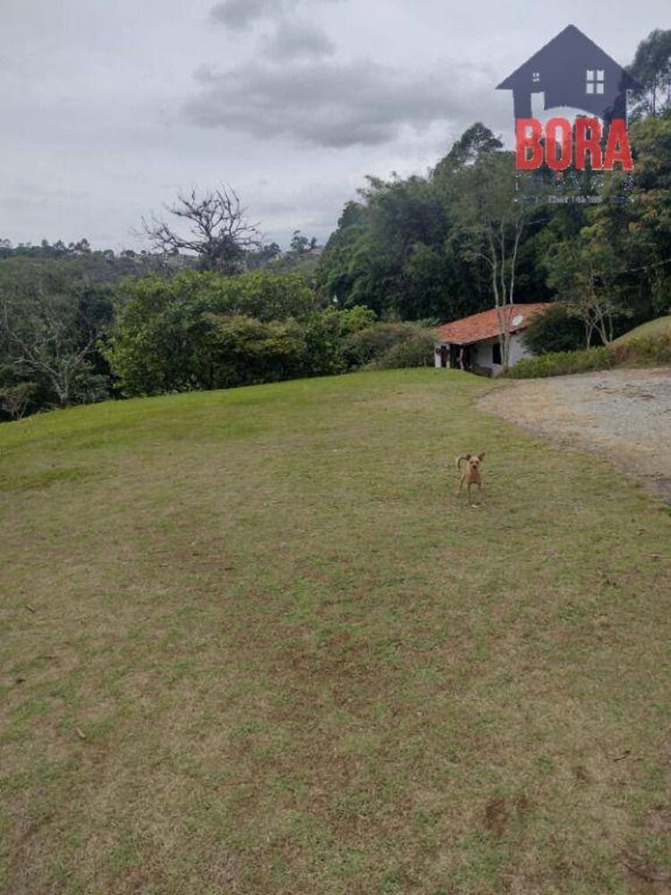Sítio à venda com 3 quartos, 200m² - Foto 6