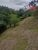 Sítio, 3 quartos, 3 hectares - Foto 4