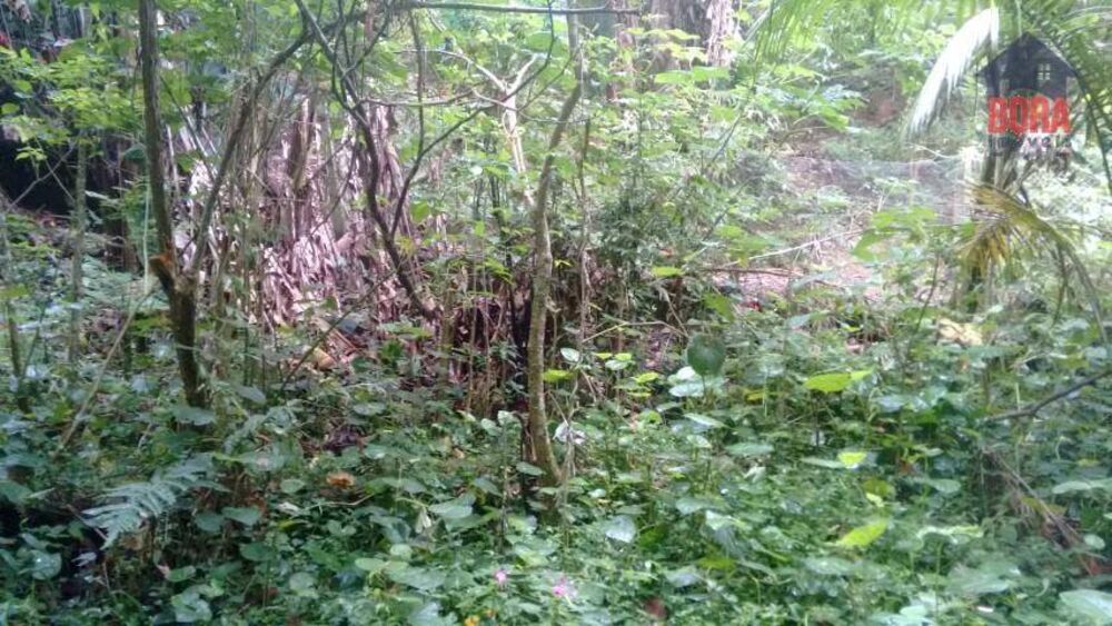 Loteamento e Condomínio, 1700 m² - Foto 3