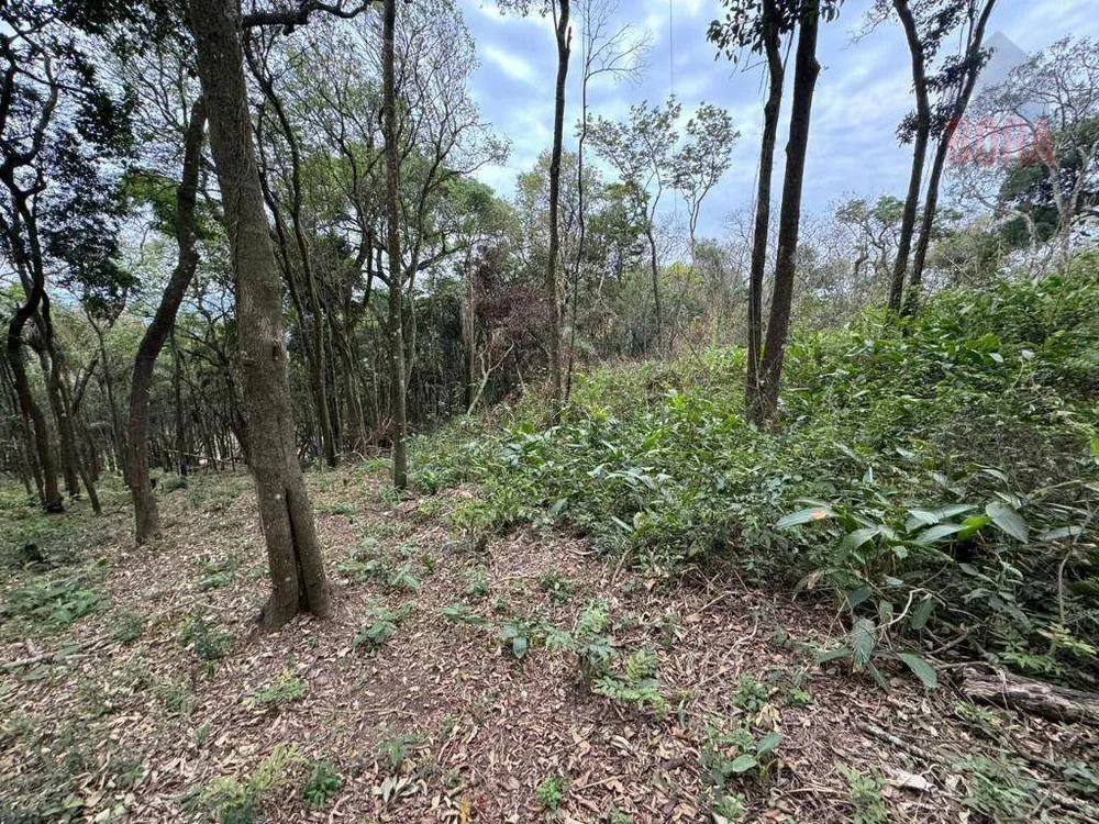 Terreno, 4000 m² - Foto 1