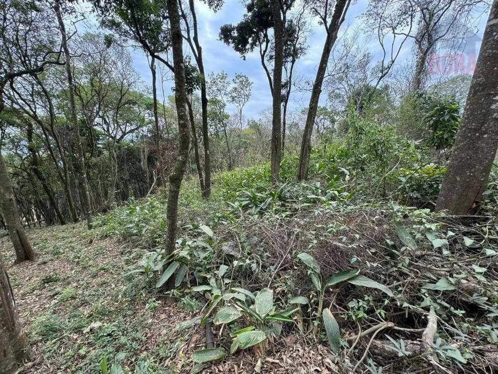 Terreno, 4000 m² - Foto 5