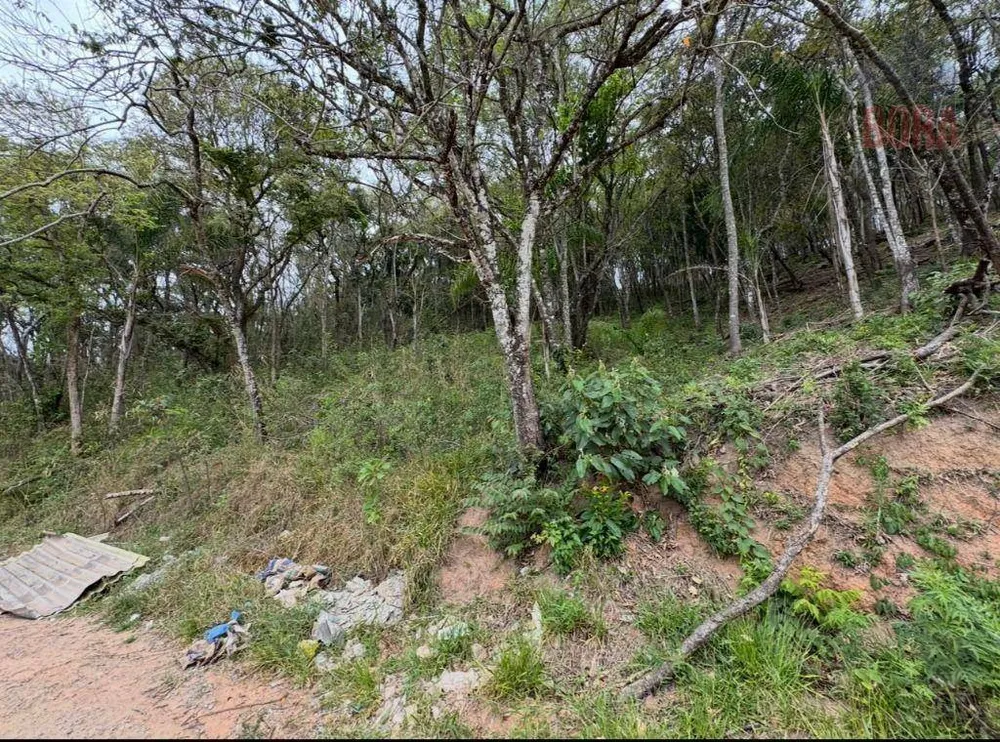Terreno, 4000 m² - Foto 2