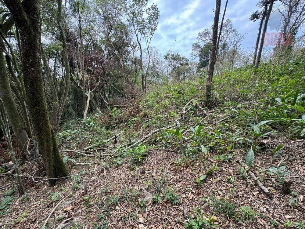 Terreno, 4000 m² - Foto 6