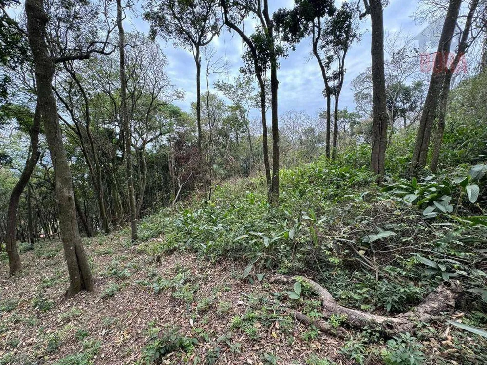 Terreno, 4000 m² - Foto 3